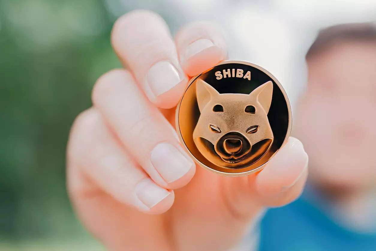 Обмен гривен с карты Монобанка на криптовалюту Shiba Inu (SHIB)