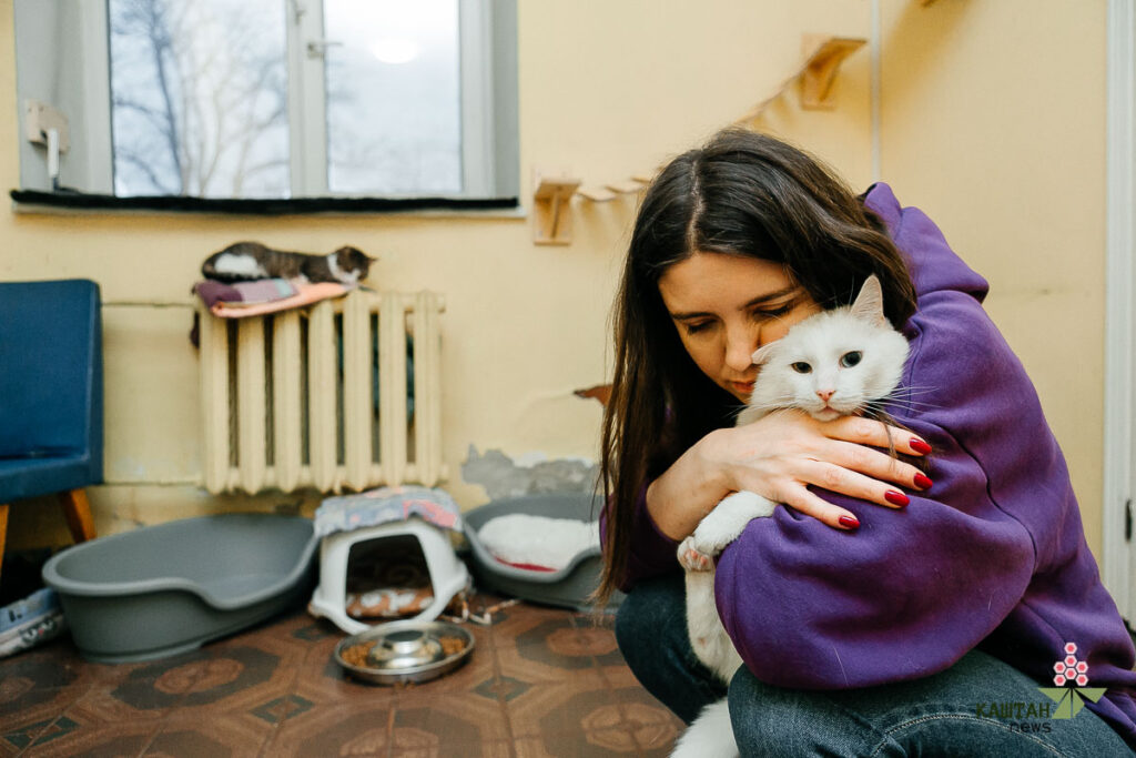 Притулок Sterilization Team