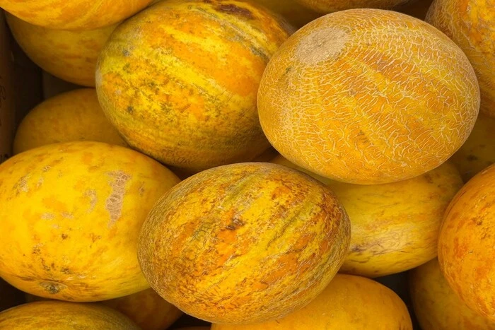 Продуктові ярмарки відбудуться у Києві на вихідних 16-17 серпня (адреси)