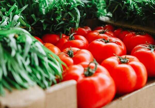 Продуктовые ярмарки в Киеве 12 — 13 июля: адреса