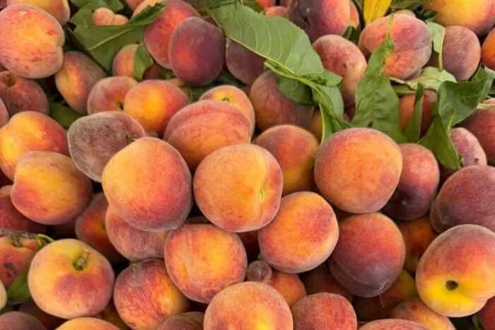 Продуктові ярмарки відбудуться у Києві на вихідних 9-10 серпня (адреси)