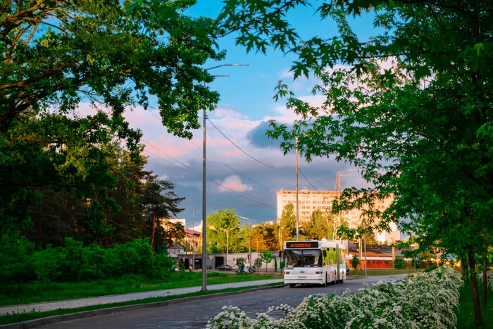 Рух транспорту в Дніпровському районі частково обмежено до кінця літа (схема)