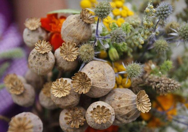 1 августа &ndash; Медовый Спас: что можно и чего нельзя делать на Маковея. 