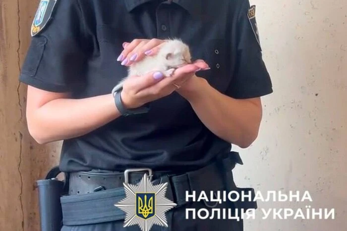 Поліція та зоопарковий патруль провели операцію з порятунку котів у Києві (фото)