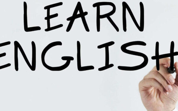 Family в англійській: переклад, правила та приклади