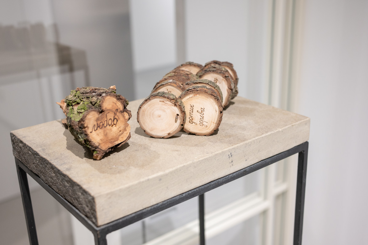 «Я памʼятаю це місце, бо воно памʼятає мене» — групова виставка артплатформи Spilne Art у новому просторі 3.6.9spacekyiv8