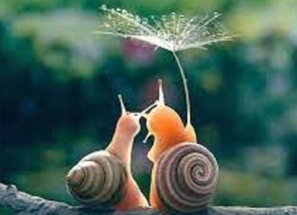 Щастя завжди поруч — Театри Києва Vgorode.ua