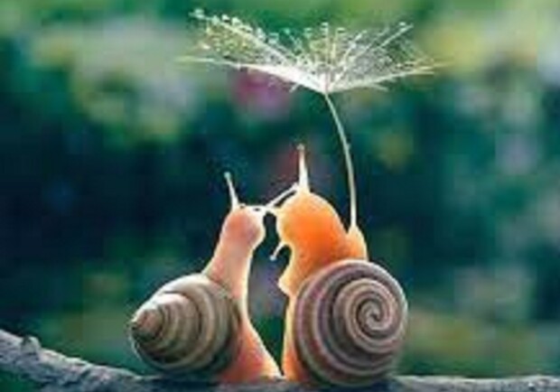 Щастя завжди поруч - фото