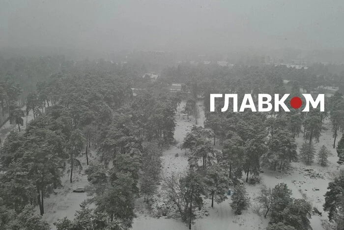 Київ здивував погодою: місто засипало величезними сніжинками (фото, відео)