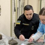 Намір вивезти з країни: столичні митники передали в музей викопні&hellip;