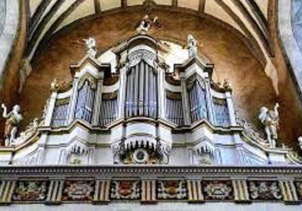 УКРАИНА ОРГАННАЯ - фото