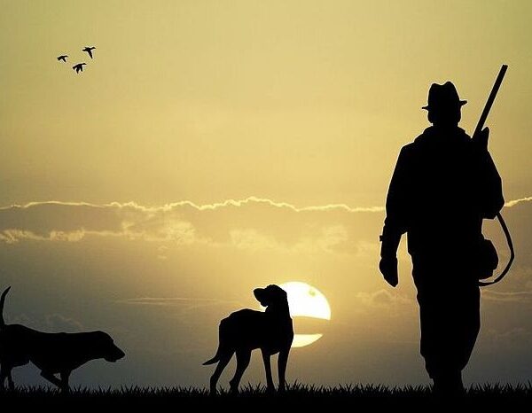 Мисливство в Україні: історія, традиції та сучасний стан