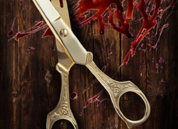 Киевские театры: “Ножницы” на Vgorode.ua