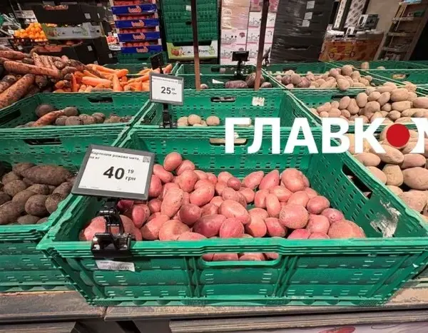 Вартість картоплі в київських крамницях: аналіз цін