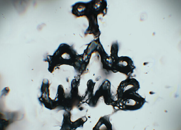 Подделка – Театры Киева Vgorode.ua