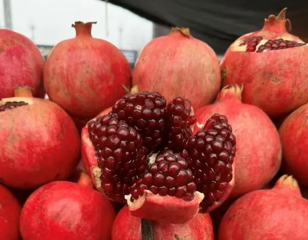 Де знайти добрі харчі в Києві: розклад продовольчих базарів на 13-18 січня