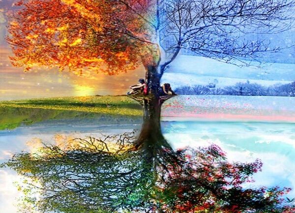 Вивальди. Сезоны года – Выступления Киев Vgorode.ua