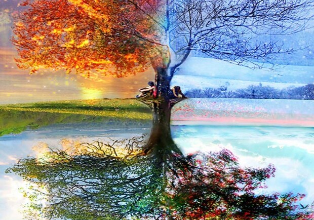 Вивальди. Времена года - фото