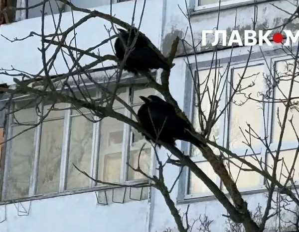 Київ: відключення електроенергії порушило роботу станцій контролю якості повітря.