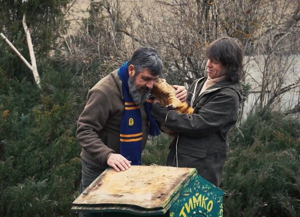 Весна 2026: предсказание харьковского сурка Тимки – Киев Vgorode.ua