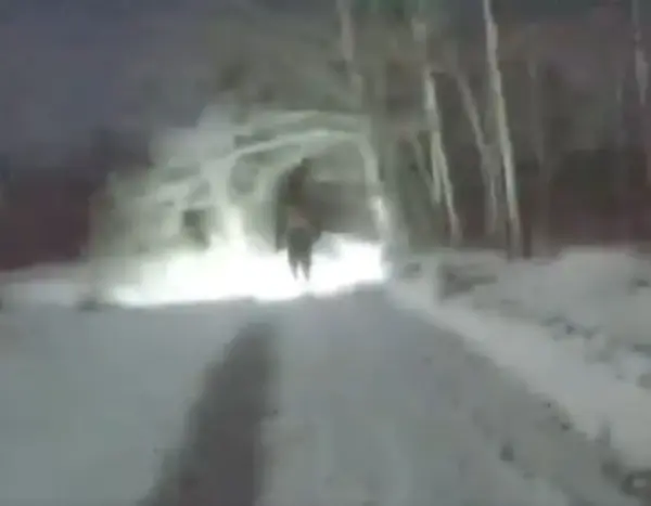 Замерз до неможливості розмовляти. У Києві поліція знайшла та допомогла бігуну, що згубився в парковій зоні.