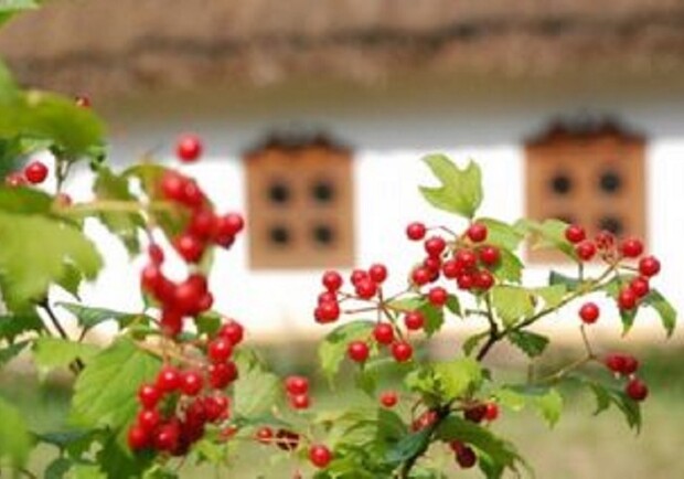 КАЛИНА Юбилейный концерт - фото