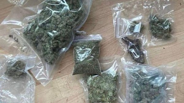 Збут канабісу: у Києві ліквідували банду, що ховала наркотики&hellip;