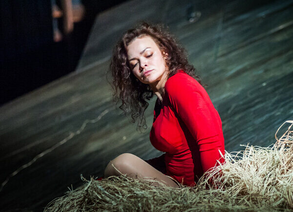 Stolen Joy – Kyiv Theaters Vgorode.ua