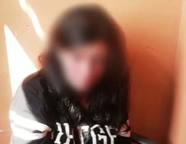 Рік ув’язнення за цькування матері: київський суд засудив домашню тиранку