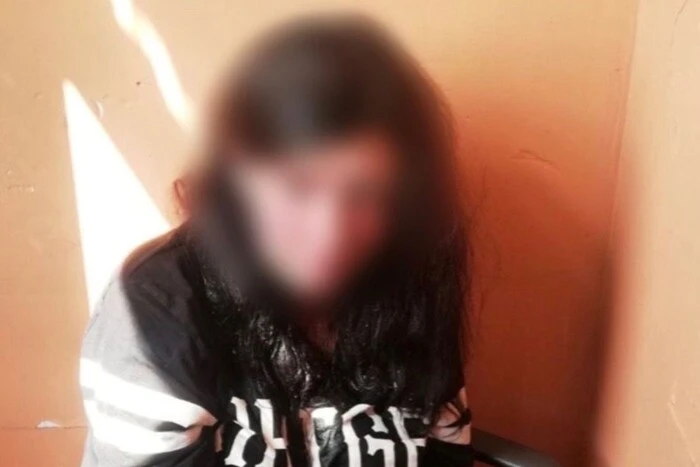 Рік ув’язнення за цькування матері: київський суд засудив домашню тиранку