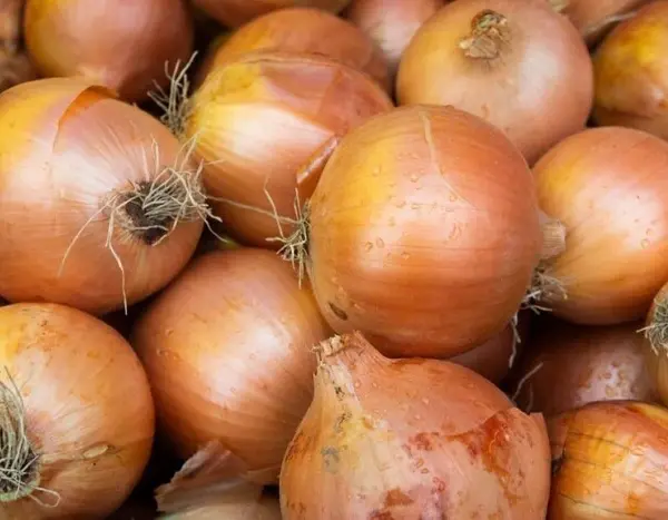 Де придбати найсвіжіші харчі в Києві: розклад продуктових базарів 7-8 лютого