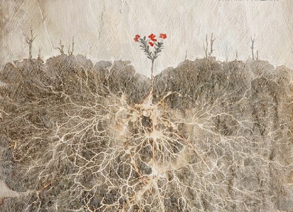 Молочайник: Київські театри на Vgorode.ua