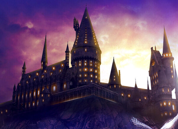 Музыка из Гарри Поттера – Шоу в Киеве на Vgorode.ua