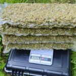 Займалися виготовленням та збутом наркотиків по всій Україні: угруповання, ймовірно,…