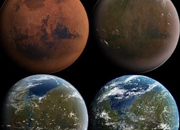 Французская трилогия: Гармония – Выступления Киев Vgorode.ua