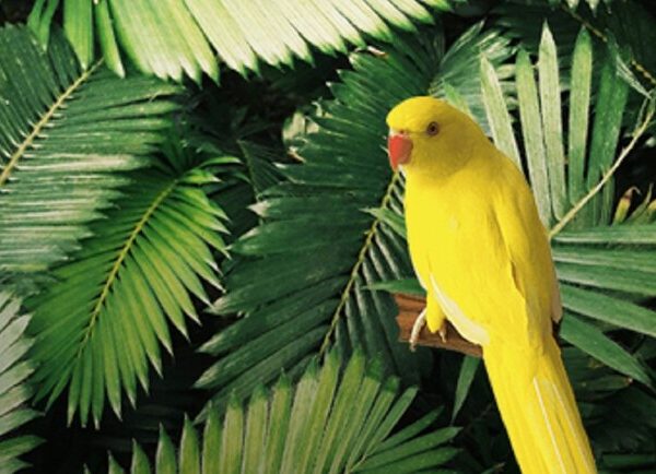 Облигация любви, или счастье за день – Киевские театры Vgorode.ua