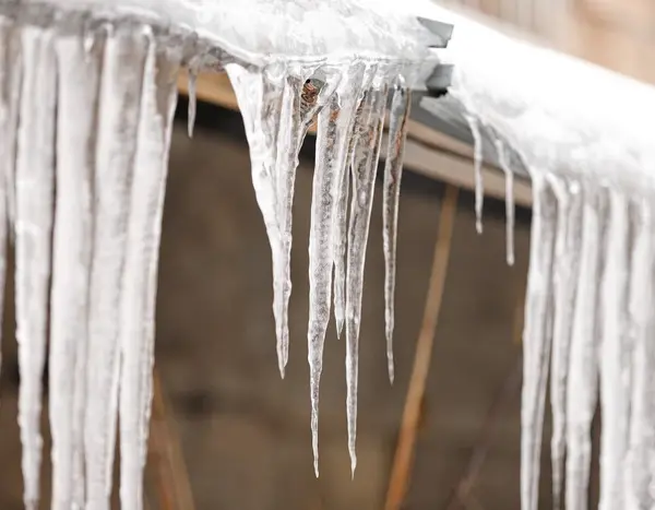 Льодопади в Києві: безпека та відповідальність за прибирання дахів