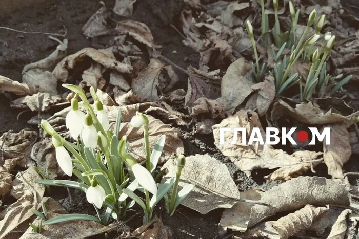 До +15 та ясно: Київ чекає на тепле пробудження.