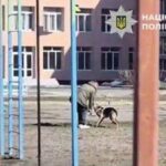 Киянка відповість за побиття собаки на вигулі.