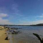 Гидропарк: предместье у моста – Обзорные туры по Киеву на…