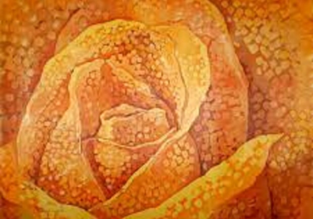 Шафрановая роза - фото