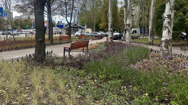 “Київзеленбуд” виділив 65 мільйонів гривень на оновлення парку в Оболонському районі