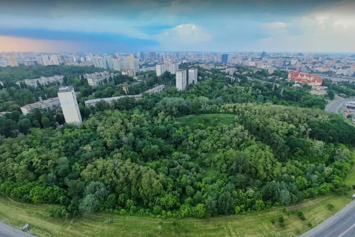 Захисники Протасового Яру після поразки в апеляції готують нову битву за заказник 