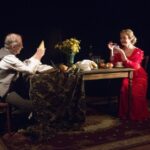 Сойкино крыло: Киевские театры на Vgorode.ua