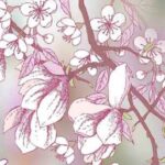 “Для тебе, коханий…” – Шоу в Києві на Vgorode.ua