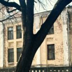 Дуб Миколи Пимоненка став ботанічною пам’яткою місцевого значення.