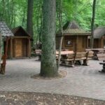 Київський бізнесмен під підозрою: зведення альтанок на землях лісфонду.