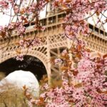 ФРАНЦУЗСКАЯ ВЕСНА – Концерты Киев Vgorode.ua