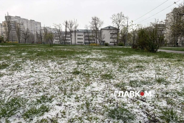 Київ та область: попередження про сильні приморозки, помаранчевий рівень тривоги