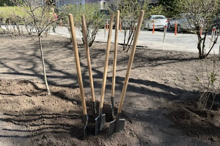 У Печерську на звільненому від МАФів місці облаштували сквер (фото)
